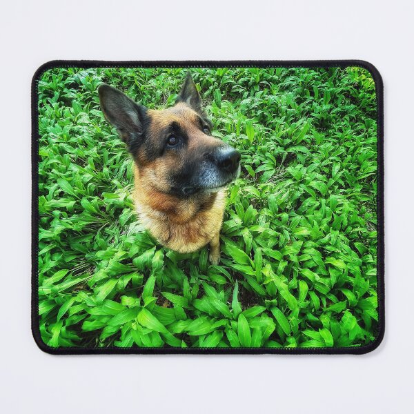 Item preview, In the grass designed and sold by Roberto Pagani.
