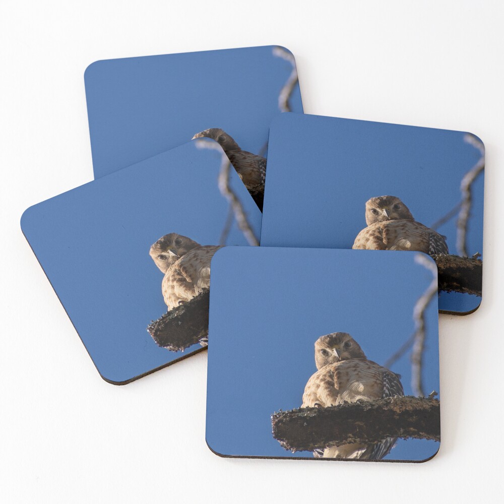Item preview, Coasters (Set of 4) designed and sold by R-York.