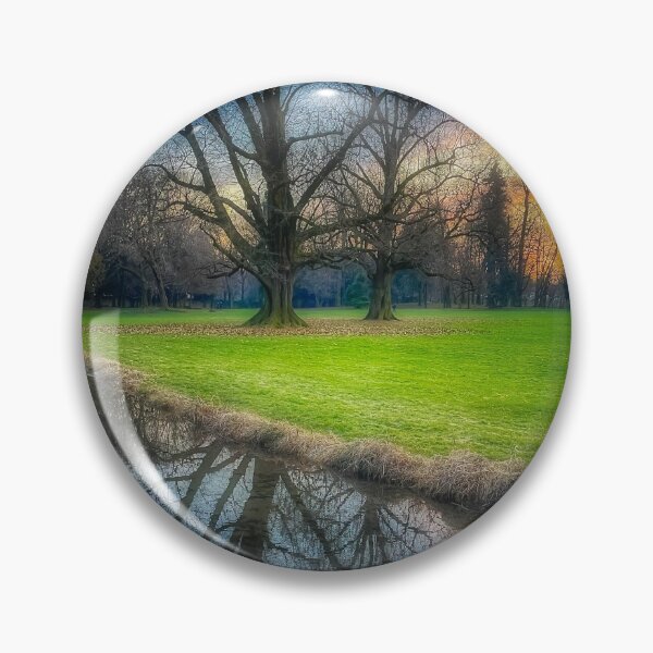 Item preview, Reflected tree at dusk designed and sold by Roberto Pagani.