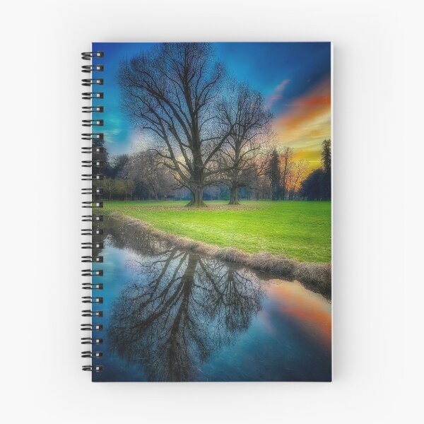 Item preview, Reflected tree at dusk designed and sold by Roberto Pagani.