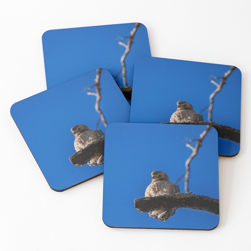 Item preview, Coasters (Set of 4) designed and sold by R-York.