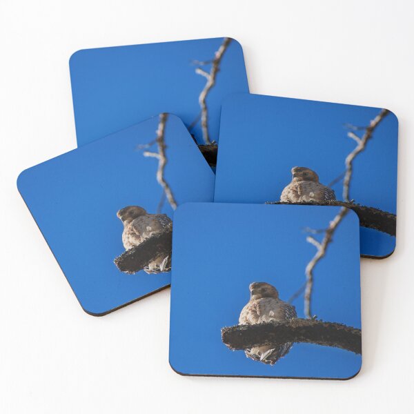 Item preview, perched hawk  designed and sold by R-York.