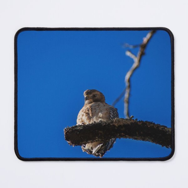 Item preview, perched hawk designed and sold by R-York.