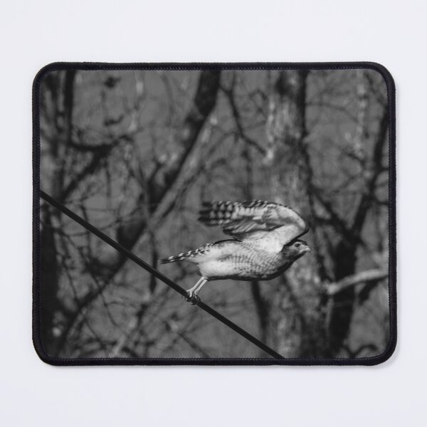 Item preview, taking flight designed and sold by R-York.