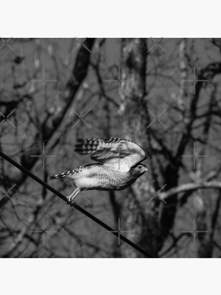 Thumbnail 4 of 4, Clock, taking flight designed and sold by R-York.