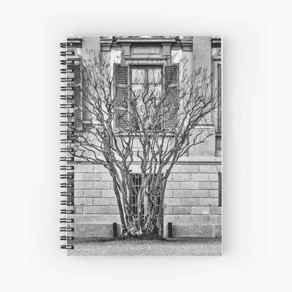 Item preview, Behind the bare tree designed and sold by Roberto Pagani.