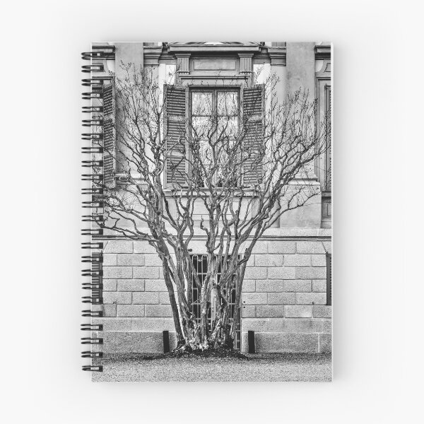 Item preview, Behind the bare tree designed and sold by Roberto Pagani.