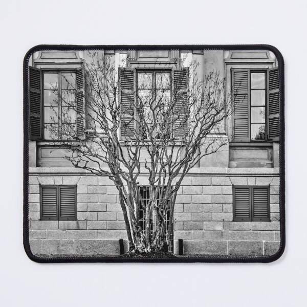 Item preview, Behind the bare tree designed and sold by Roberto Pagani.