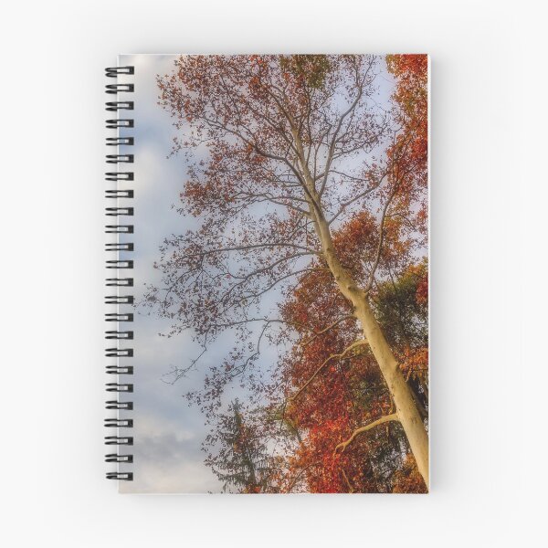 Item preview, Clouds and foliage designed and sold by Roberto Pagani.