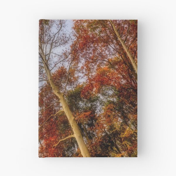Item preview, Clouds and foliage designed and sold by Roberto Pagani.