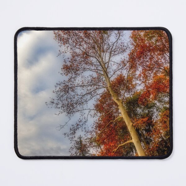 Item preview, Clouds and foliage designed and sold by Roberto Pagani.