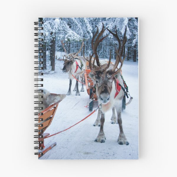 Item preview, Reindeer in Lapland designed and sold by GillianSweeney.