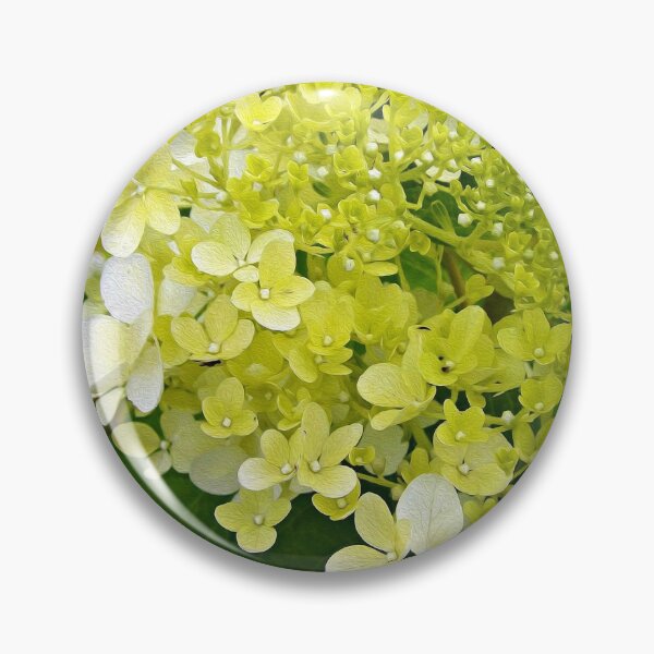 Item preview, Elegant Chartreuse Green Limelight Hydrangea Macro designed and sold by myrubiogarden.
