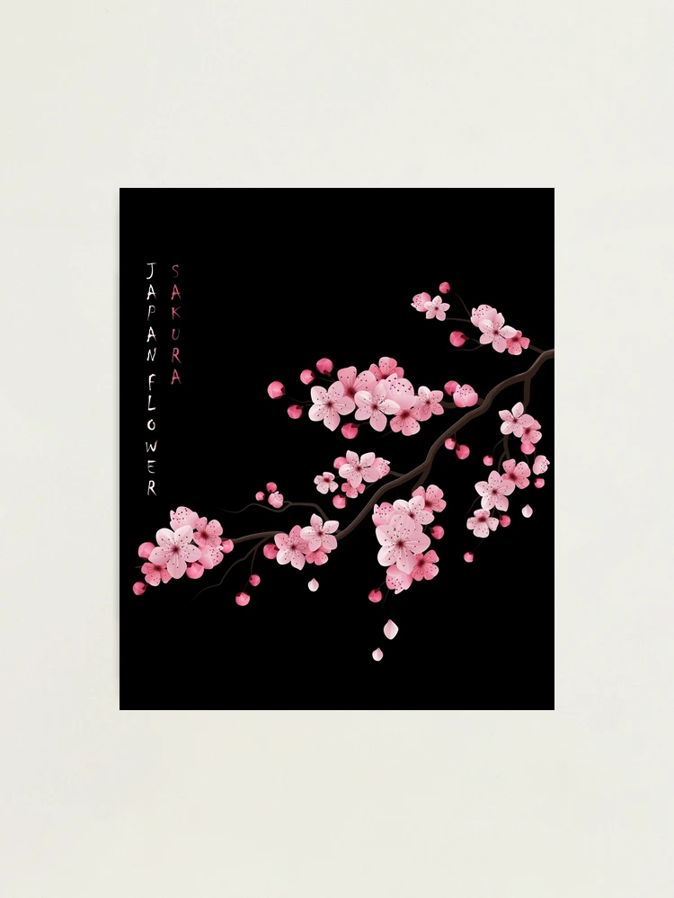 ⭐️All Cherry Blossoms⭐️新品6枚set⭐️婦人画報別注桜 Cherry Blossom festival at Tokorozawa Sakura Town!