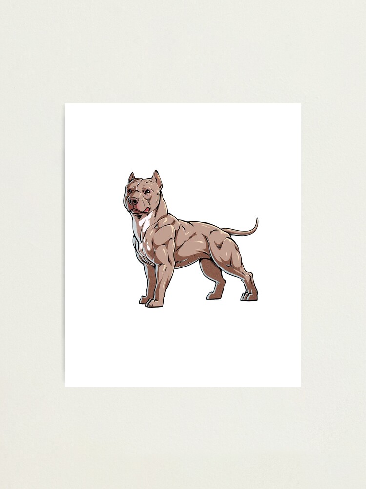 Cute Pitbull Mom - Design - Bull Terrier Mommy Photographic Print