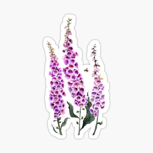Vista previa del artículo con la obra «Digitalis purpurea (dedalera)», diseñado y vendido por Sitenkovamary.