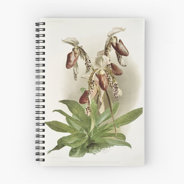 Item preview, Reichenbachia: Orchids Illustrated and Described designed and sold by EsotericBotanic.