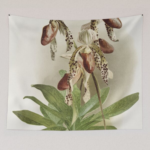 Item preview, Reichenbachia: Orchids Illustrated and Described designed and sold by EsotericBotanic.