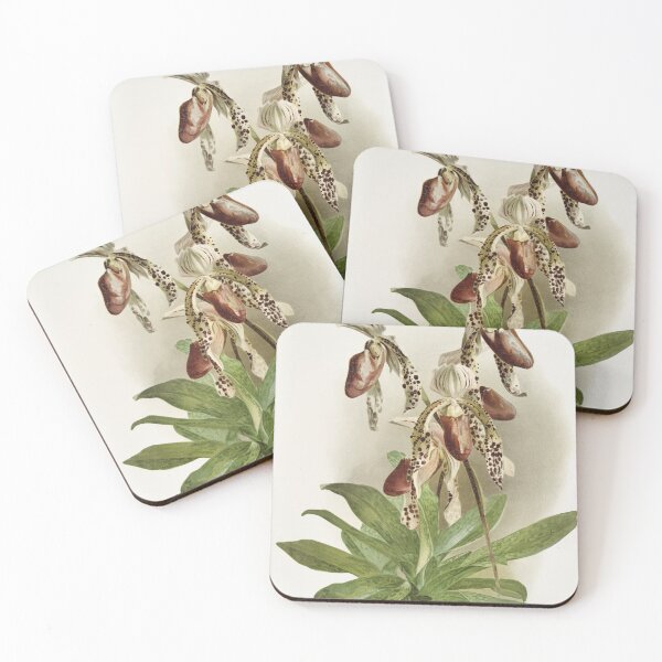 Item preview, Reichenbachia: Orchids Illustrated and Described designed and sold by EsotericBotanic.