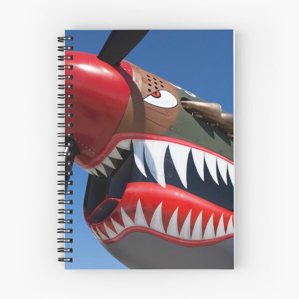 Item preview, Flying tiger plane designed and sold by Garry Gay.