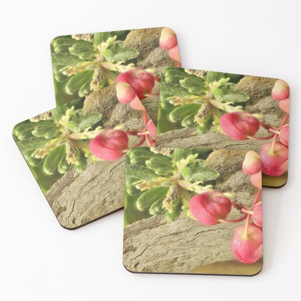 Item preview, Grevillea lanigera - Mt Tamboritha cultivar, South AUstral designed and sold by NanaRusty.