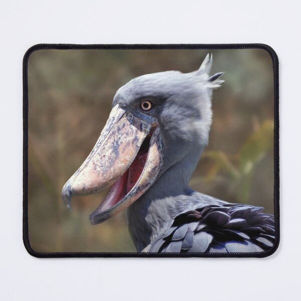 Item preview, ShoeBill designed and sold by Savannah Gibbs.
