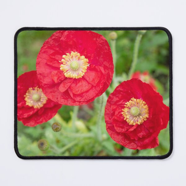 Item preview, Red Poppy 3 designed and sold by Clare Colins.