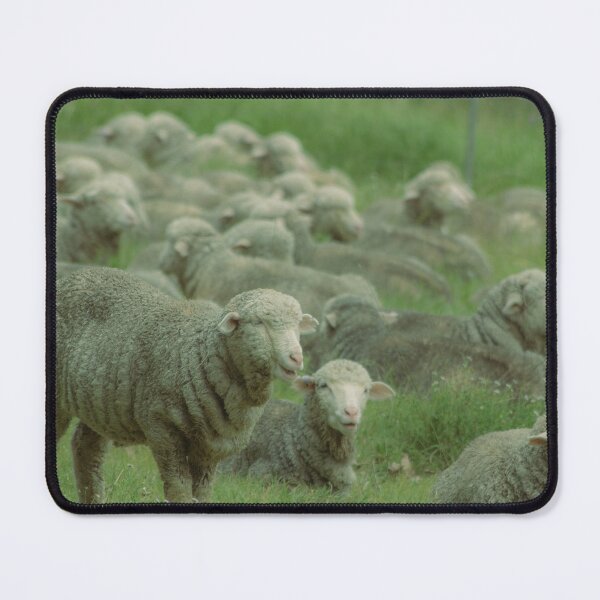 Item preview, Sheepish designed and sold by Clare Colins.