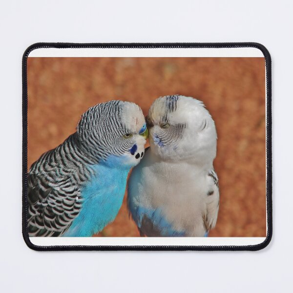 Item preview, Smooch! designed and sold by DeeLeePhotos.