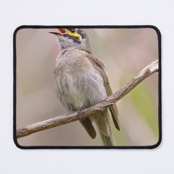 Item preview, Yellow Faced Honeyeater designed and sold by David  Hibberd.
