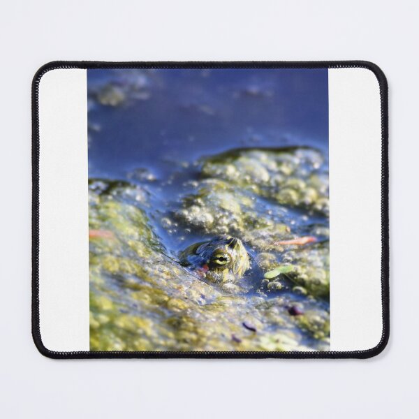 Item preview, Turtle's Eye designed and sold by DeeLeePhotos.