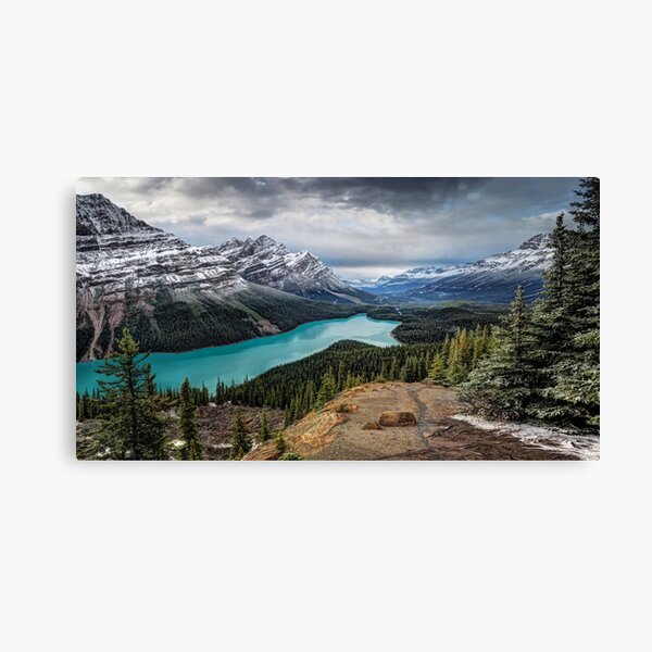 Lake Peyto Canvas Print