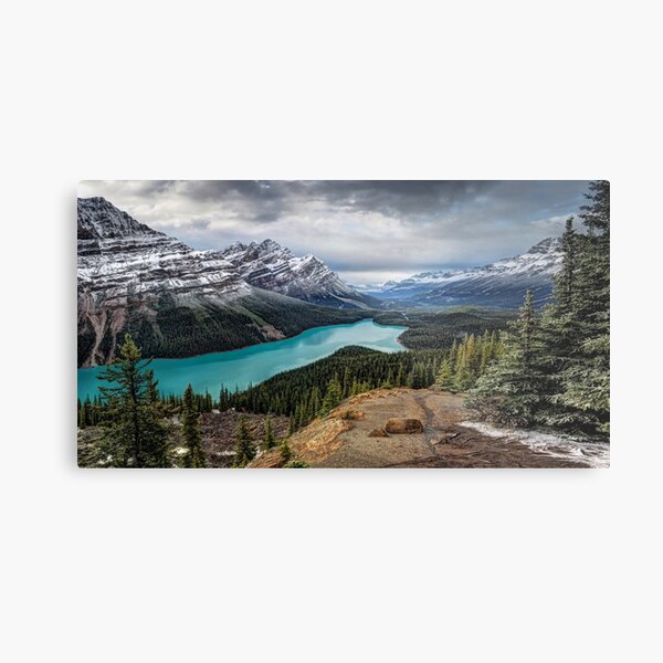 Lake Peyto Metal Print