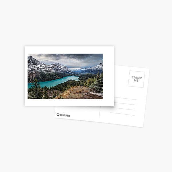 Lake Peyto Postcard