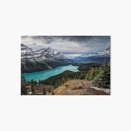 Lake Peyto Art Board Print