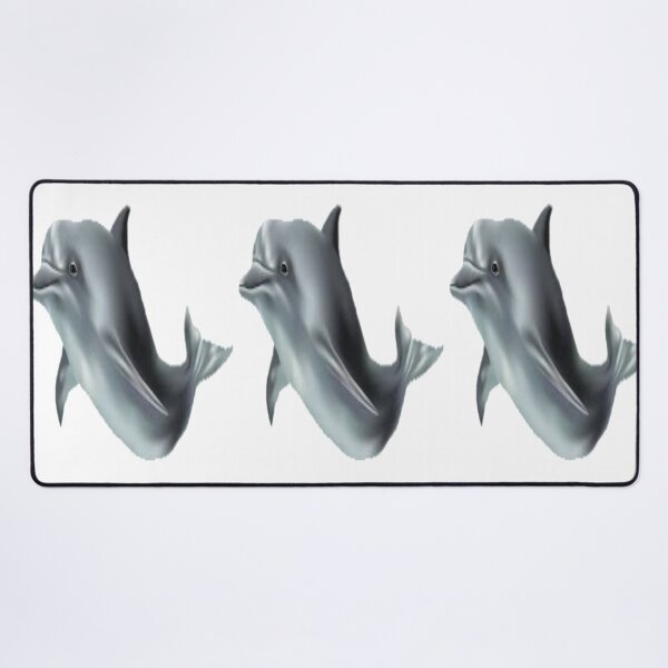 winter the dolphin Desk Mat