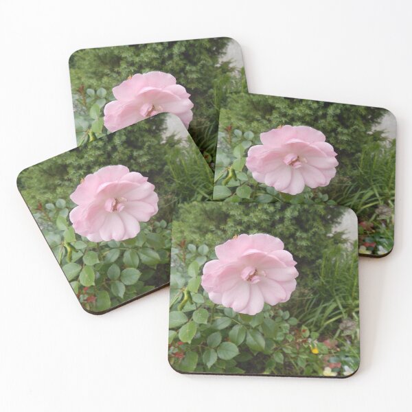 Item preview, Pink Rose Fully Open designed and sold by Kathleen Brant.