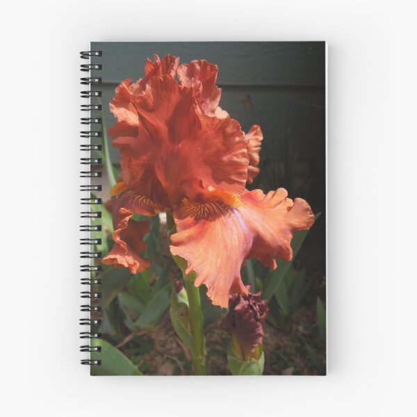 Item preview, My pretty orange Iris...... designed and sold by DonnaMoore.