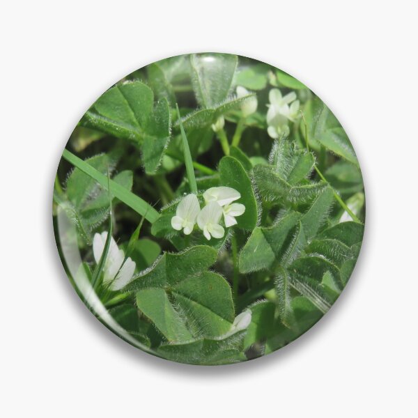 Item preview, Subterranean clover designed and sold by greentiger1.