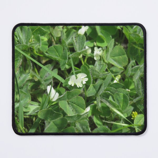 Item preview, Subterranean clover designed and sold by greentiger1.