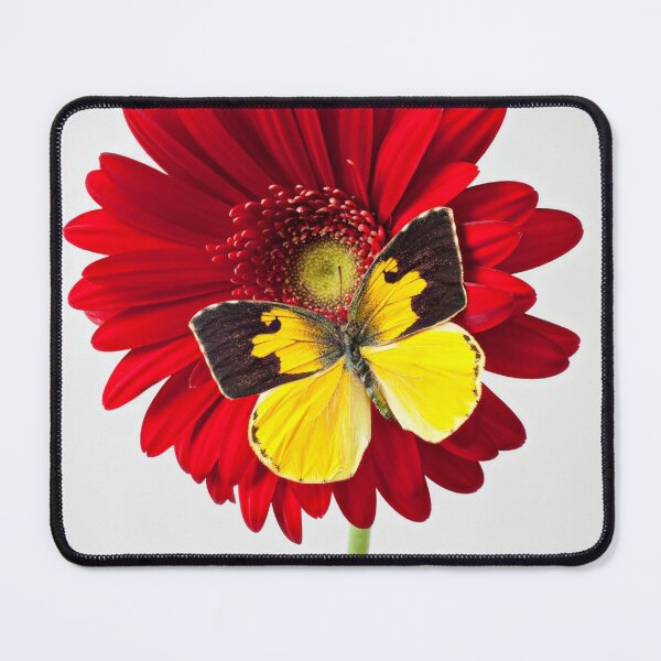 Item preview, Dogface Butterfly On Red Mum designed and sold by Garry Gay.