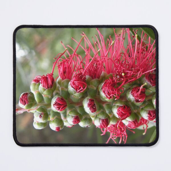 Item preview, Beauty Emerging. designed and sold by Trish Meyer.