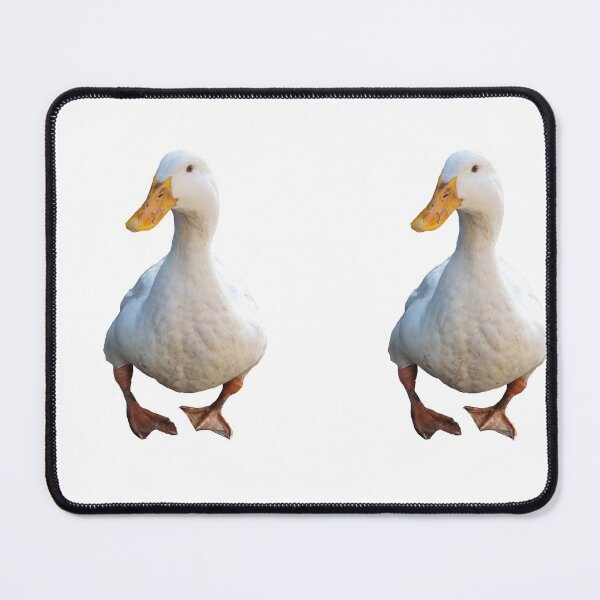 Item preview, Adorable Gentleman White Pekin Duck Pet Family designed and sold by 3luckyduckee.