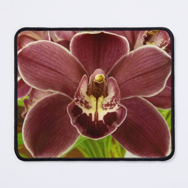 Item preview, Orchid Show 1 designed and sold by Trish Meyer.