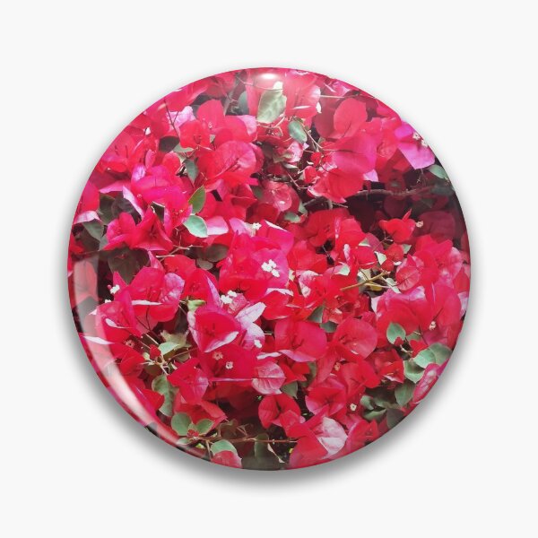 Item preview, Buganvilla roja - Mt Eden Gardens, Auckland. Nueva Zelanda designed and sold by CleverCharles.