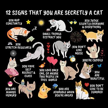 "12 Signs That You Are Secretly a Cat Gifts For Cat Lovers Crazy Cat