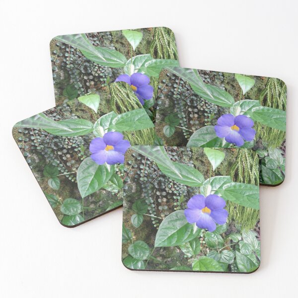Item preview, Bush Clock Vine designed and sold by GardenArtworks.