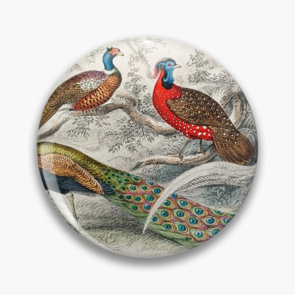 Item preview, Cuadro pájaro de Oliver Goldsmith designed and sold by soulstop.