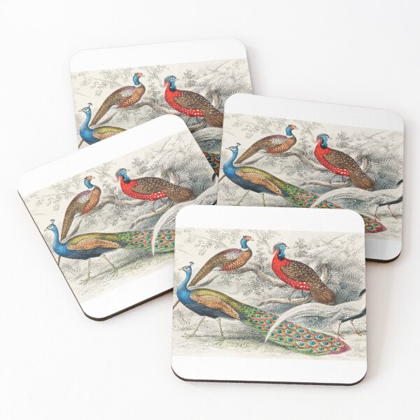 Item preview, Cuadro pájaro de Oliver Goldsmith designed and sold by soulstop.