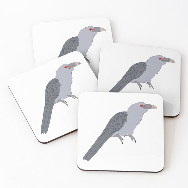 Item preview, Channel-billed Cuckoo on White designed and sold by Digitaldingo.